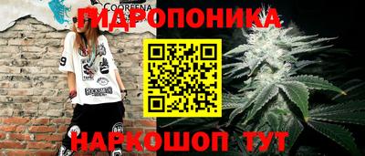 скорость Рыбинск