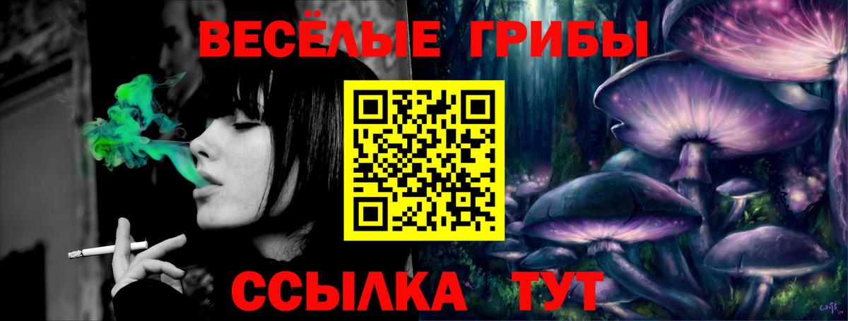Псилоцибиновые грибы прущие грибы  Галлюциногенные грибы Psilocybine cubensis  Ачинск  Вход с VPN 